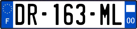 DR-163-ML