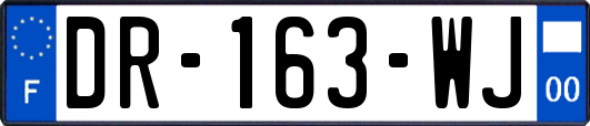 DR-163-WJ