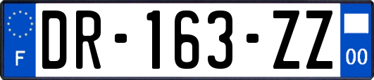 DR-163-ZZ