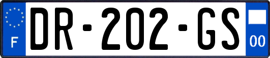 DR-202-GS
