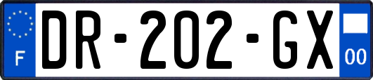 DR-202-GX