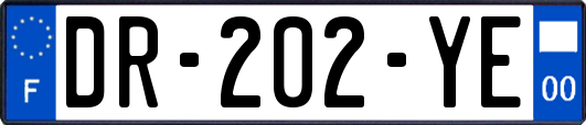 DR-202-YE