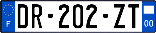 DR-202-ZT
