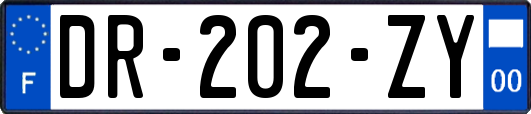 DR-202-ZY