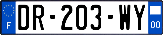 DR-203-WY