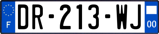 DR-213-WJ