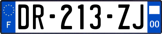 DR-213-ZJ