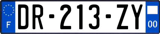 DR-213-ZY