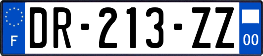 DR-213-ZZ