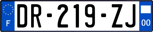 DR-219-ZJ