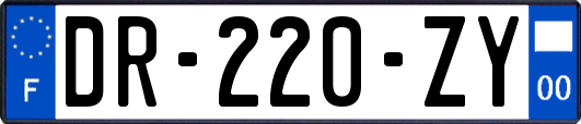 DR-220-ZY