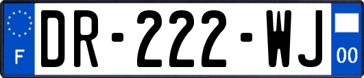 DR-222-WJ