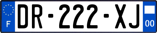 DR-222-XJ