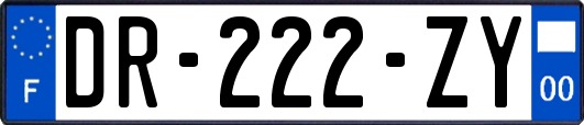 DR-222-ZY