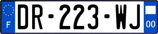 DR-223-WJ