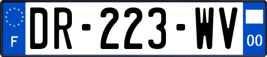 DR-223-WV