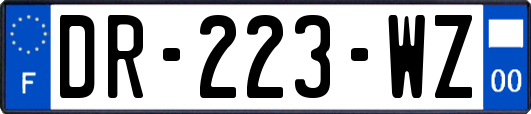 DR-223-WZ