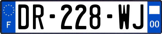 DR-228-WJ