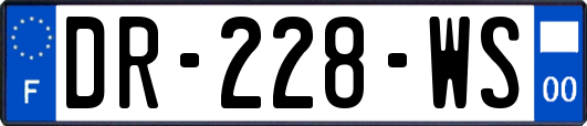 DR-228-WS