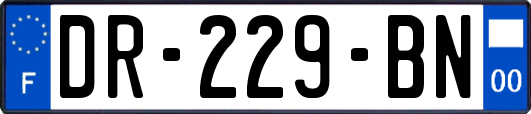 DR-229-BN