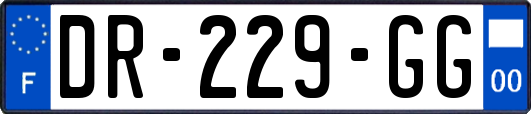 DR-229-GG