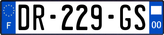 DR-229-GS
