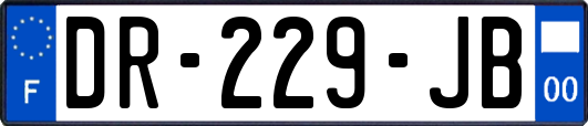 DR-229-JB