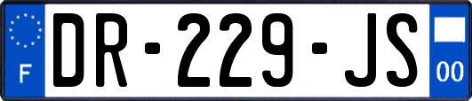 DR-229-JS