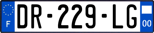 DR-229-LG