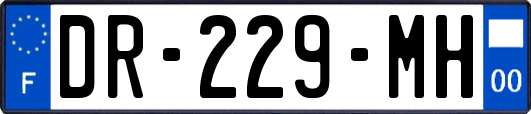 DR-229-MH