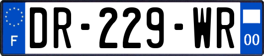 DR-229-WR