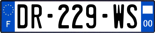 DR-229-WS