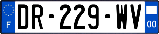 DR-229-WV