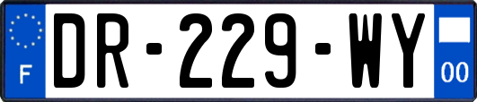 DR-229-WY