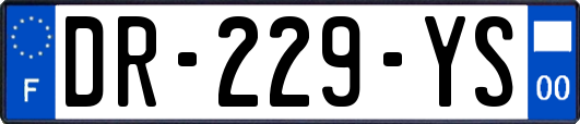 DR-229-YS