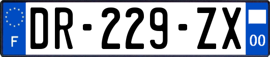 DR-229-ZX