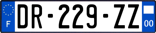 DR-229-ZZ