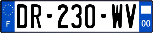 DR-230-WV