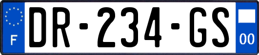 DR-234-GS