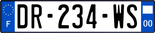 DR-234-WS
