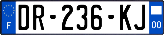 DR-236-KJ