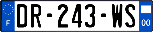 DR-243-WS