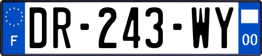 DR-243-WY