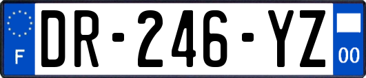 DR-246-YZ