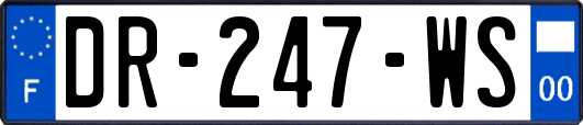 DR-247-WS