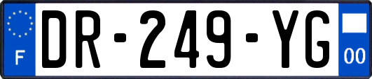 DR-249-YG