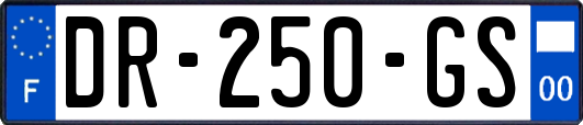 DR-250-GS