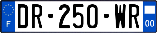 DR-250-WR