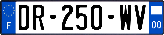 DR-250-WV