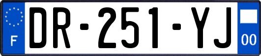 DR-251-YJ